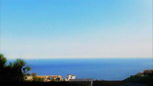 Altea Olivos G
