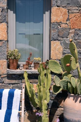 Villa Aiolos: Above The Sea, Within Agios Nikolaos
