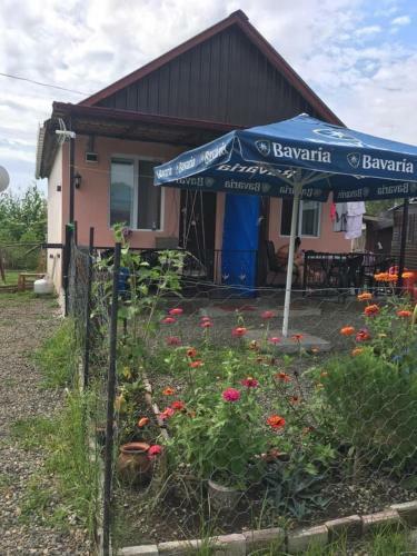Hostal Elene