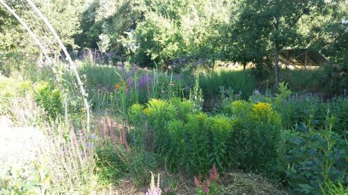 Bed & Breakfast De Geheime Tuin - Boshuis
