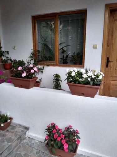 Casa Noastr?