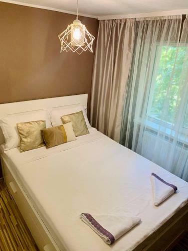 Apartament Zafi