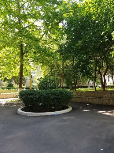 Apartament Trandafirul