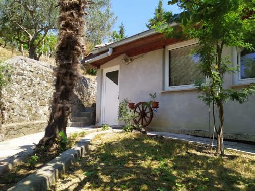 Lili House