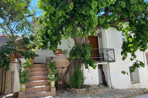 Apartamento Asya Ev