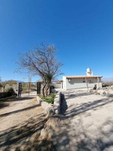 El Pedregal