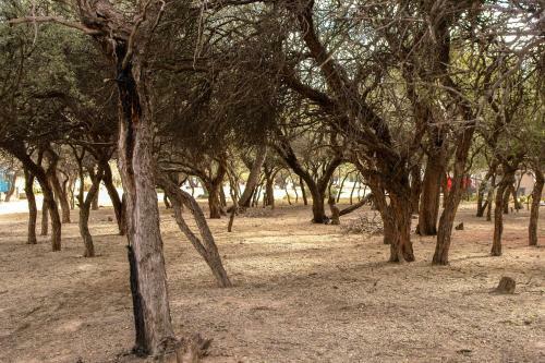 Apartamento Algarroba - Hospedaje