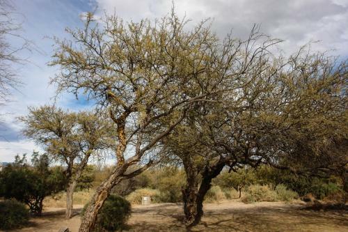 Apartamento Algarroba - Hospedaje