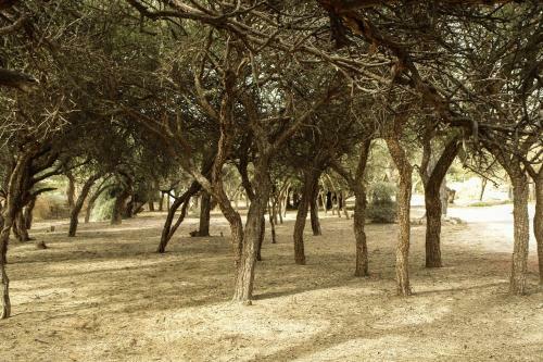 Apartamento Algarroba - Hospedaje