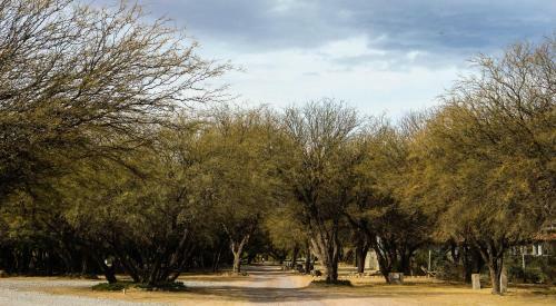 Apartamento Algarroba - Hospedaje