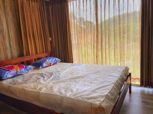 Igloo Container House- Isolated Estate Private Property