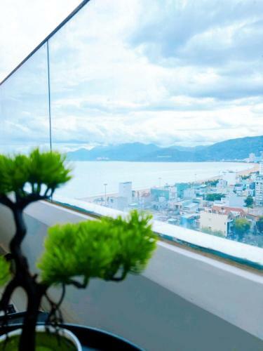 Trips Apartmen & Home Stay Quy Nh?n