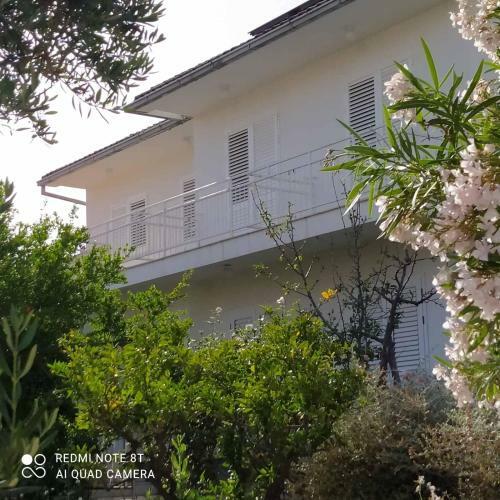 Hostal Sobe Pelje?ac