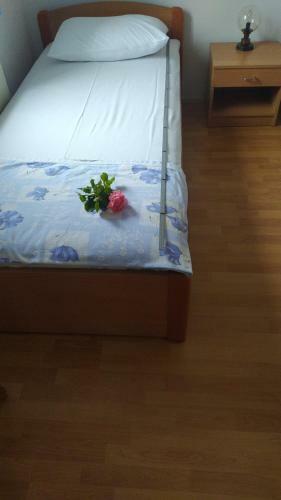 Hostal Sobe Pelje?ac