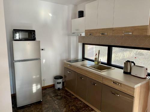 Eminescu Apartments