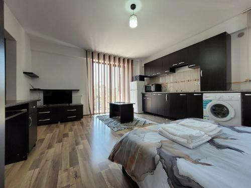 Re Downtown Apartments - Cozy Studio Near Piata Unirii