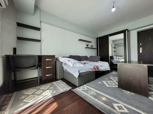 Re Downtown Apartments - Ipsilanti Studio
