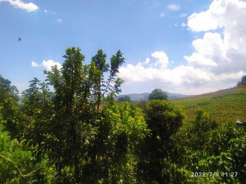 Alojamiento Rural En Combia