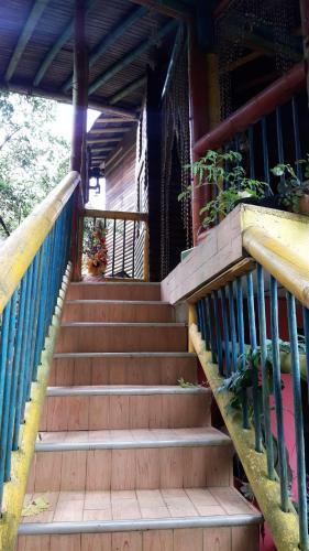 Apartamento Hakuna Matata