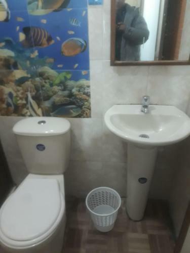 Hostal Los Tres Leones