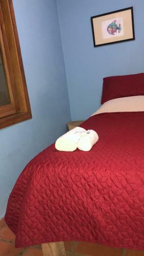 Bed & Breakfast Finca Momota Farm