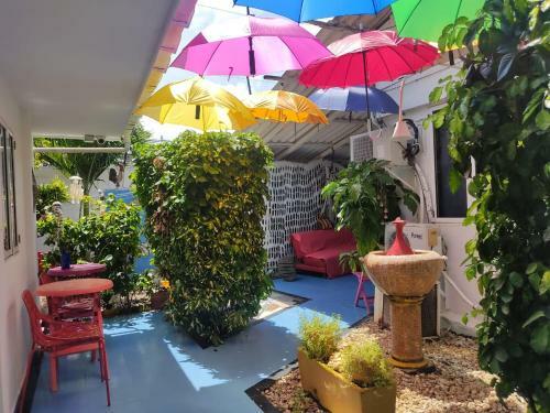 Hostal Casa Nativa Missluz
