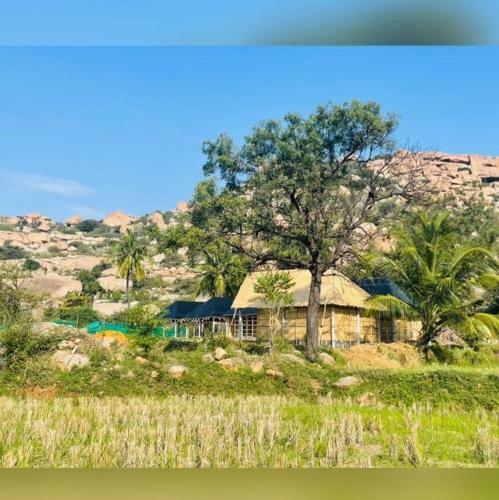 Agroturismo Banana Tree Home Stay