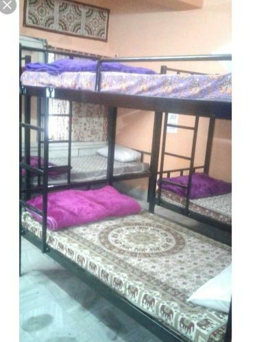 Jaipur City Home Saty