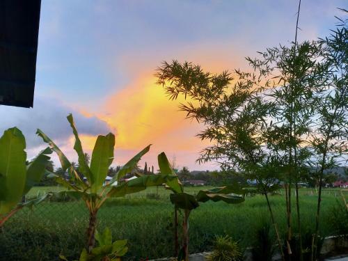 Hostal Langkawi Country Lodge2