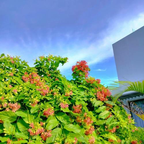 Villas Oceanami Long H?i 4 Ph�ng Ng?