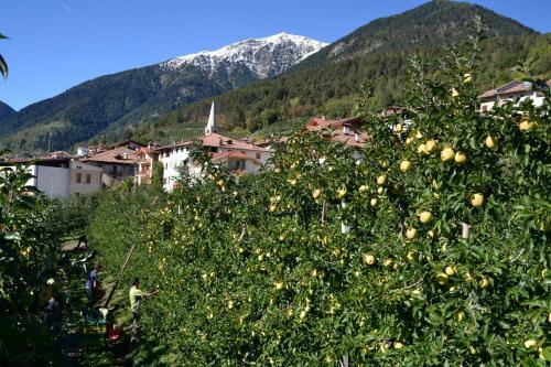 Agroturismo Agritur Monte Pin
