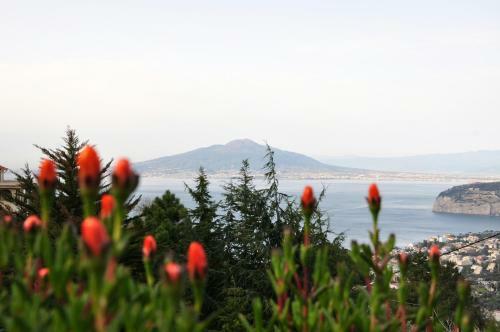 Bed & Breakfast Casa Gaia Sorrento Bio Vacanze