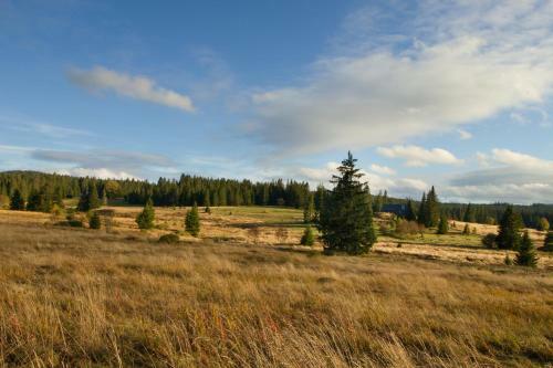 Wellness Apartm�n Kvilda