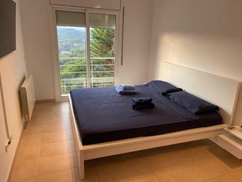 Villa For 2 Families