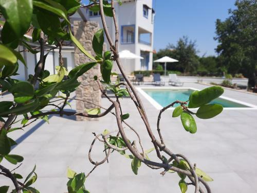 Villa Juliet
