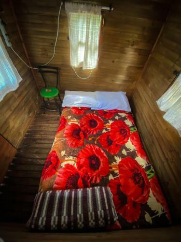 Hostal Pietrasanta Extrema