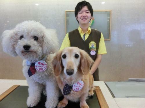 Izumigo Toba Dog Paradise Hotel