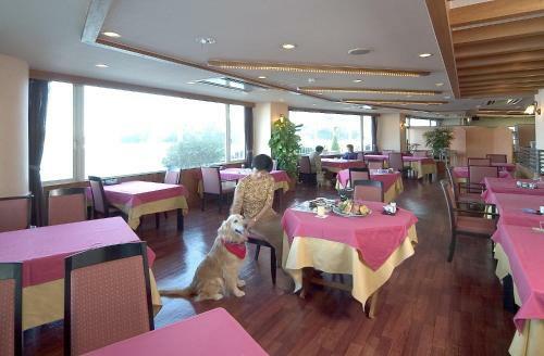Izumigo Toba Dog Paradise Hotel