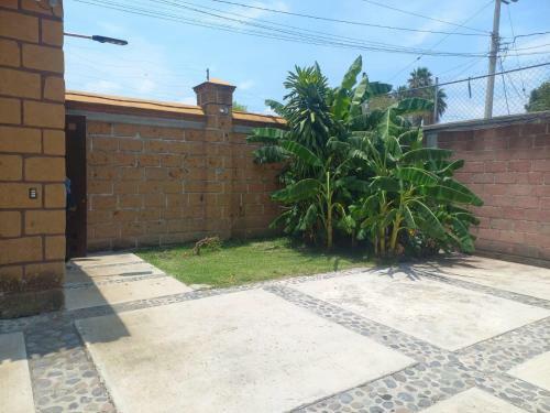Quinta Para�so