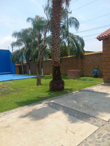 Quinta Para�so