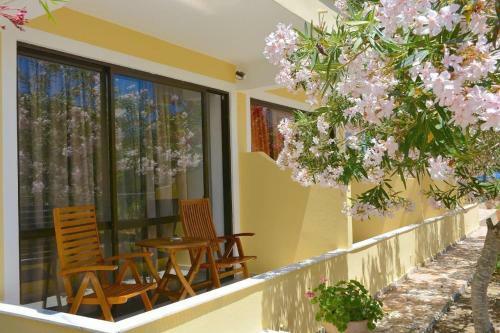 Alexandra Apartment 1