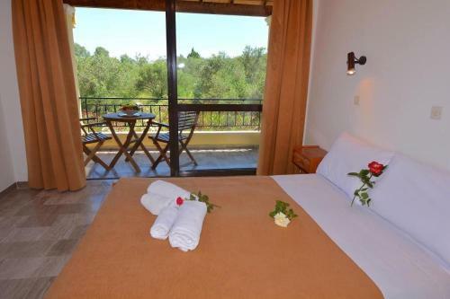 Apartamento Alexandra Studio 5