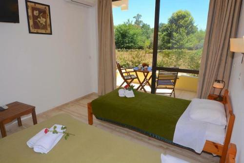 Apartamento Alexandra Studio 5