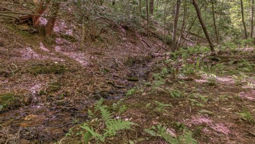 Bear Creek Cabin By Escape To Blue Ridge