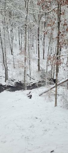 Villa Cozy Creekside Log Cabin W Firepit, Hot Tub, Wifi