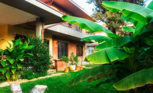 B&B Bhakti