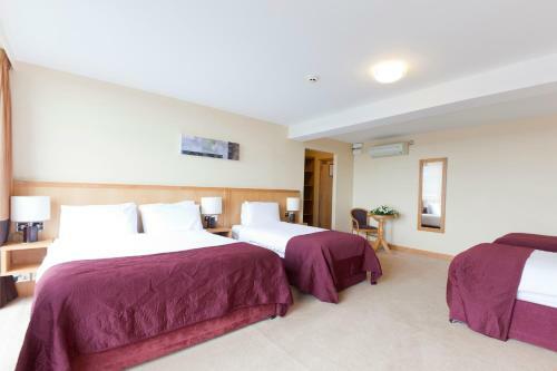 Sean Ogs Hotel