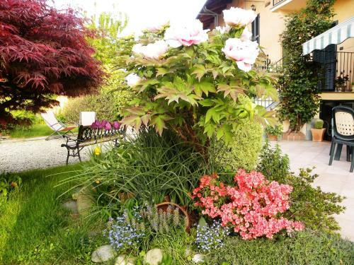 Bed&breakfast La Siepe