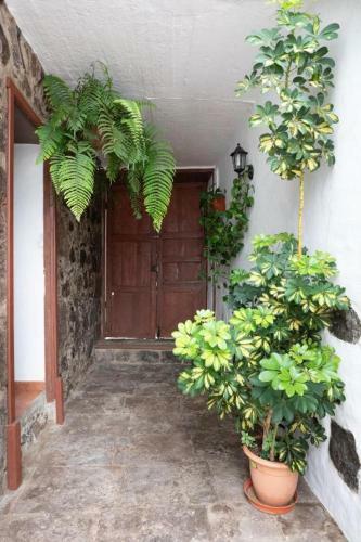 Casa Canaria Acer�