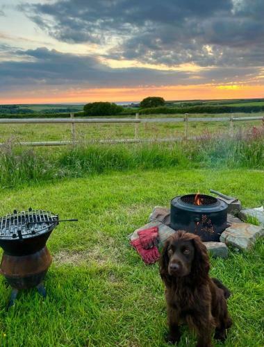 Shepherds Hut In A Private Meadow With Sea Views